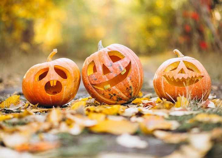 В России предложили штрафовать за празднование Хэллоуина тыква