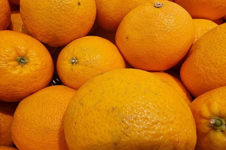 Почему кожура цитрусовых не должна лететь в мусорное ведро: скрытый потенциал цедры апельсин