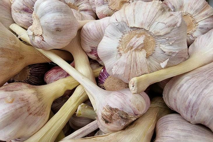 Почему чеснок для маринада давят, а не режут: ключ к интенсивности вкуса чеснок