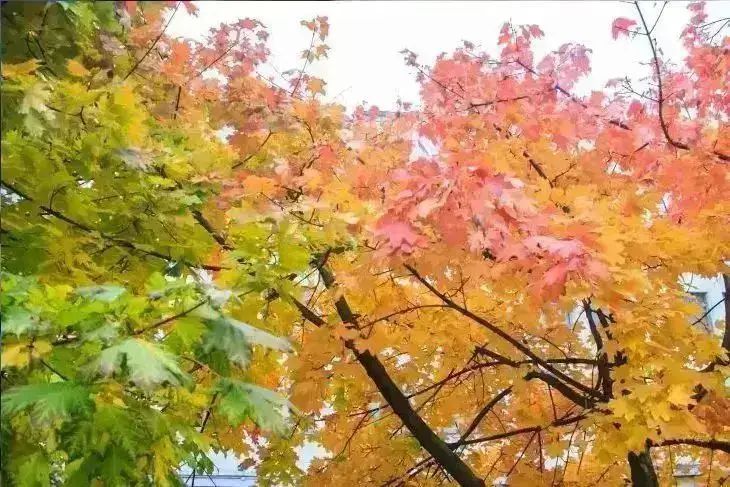 Какой сегодня праздник: 26 ноября 2025 года природа