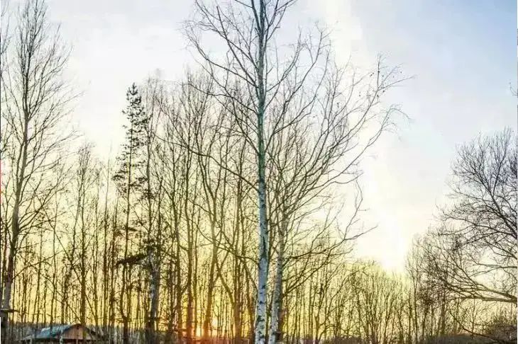 Какой сегодня праздник: 27 ноября 2025 года природа