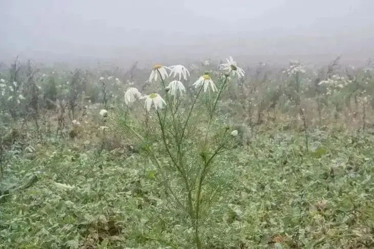 Какой сегодня праздник: 28 ноября 2025 года природа