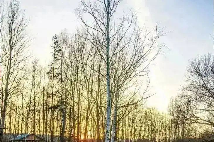 30 ноября 2025: народный праздник Григорий Зимоуказатель и его традиции природа