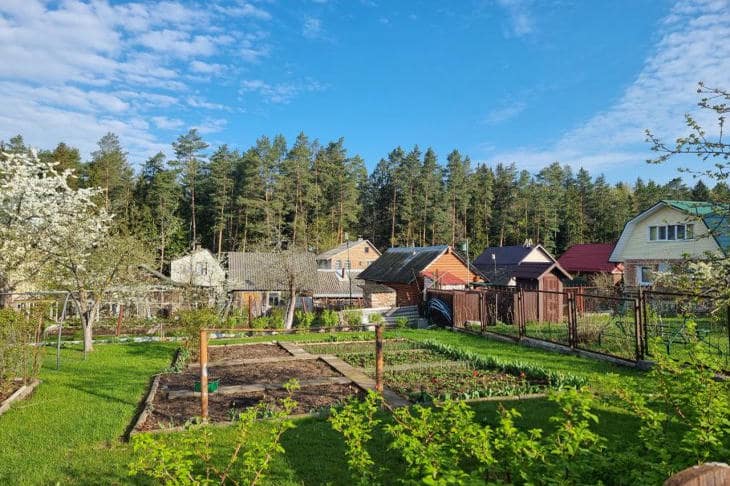 Как валериана укрепляет иммунитет растений: неожиданные возможности аптечной настойки огород