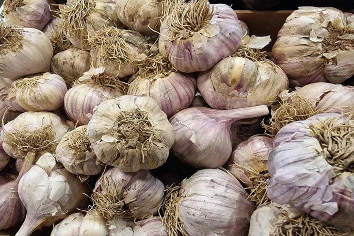 Полив чеснока и лука крапивным настоем: вся правда о зеленом удобрении чеснок