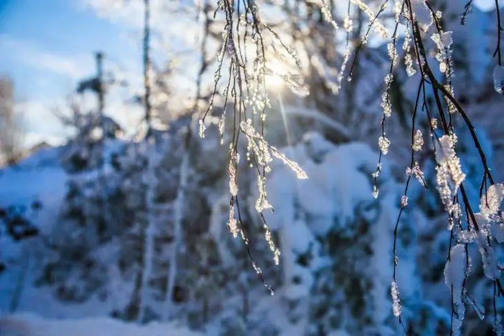 Какой сегодня праздник: 17 декабря 2025 года природа