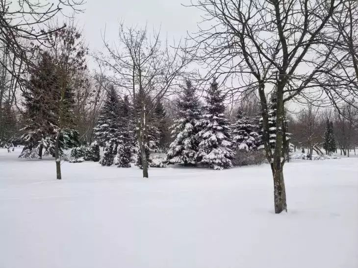 Какой сегодня праздник: 18 декабря 2025 года природа