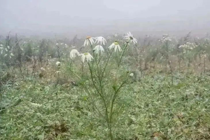 Какой сегодня праздник: 5 декабря 2025 года природа