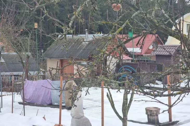 Какой сегодня праздник: 10 декабря 2025 года природа