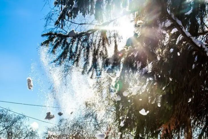 Какой сегодня праздник: 13 декабря 2025 года природа