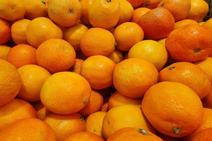 Почему мандарины должны храниться не в вазе, а в коробке: как сетка спасает новогоднее настроение собака