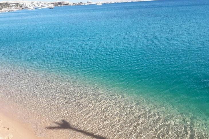 Международный инцидент на шезлонгах: конфликт россиян и британцев в египетском отеле завершился миром море