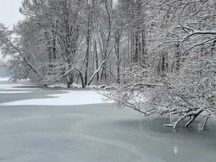 31 января 2026 года: какой сегодня праздник природа