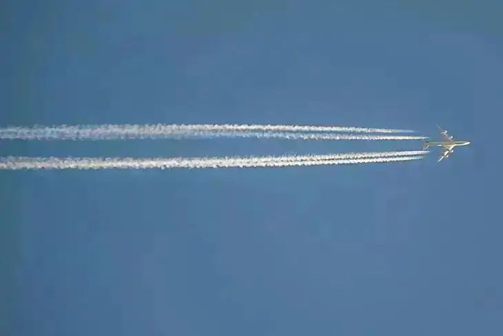 Посольство РФ ищет способ вывезти россиян с архипелага Сокотра: ограничения на полеты не позволяют покинуть остров самолет