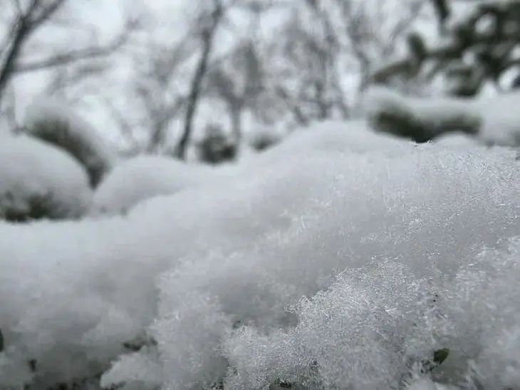 30 января 2026 года: какой сегодня праздник снег