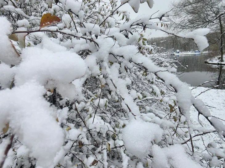 15 января 2026 года: какой сегодня праздник снег