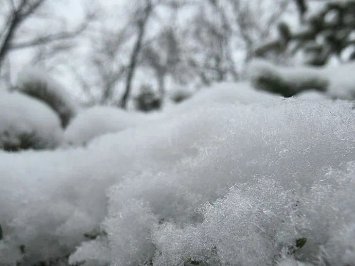 22 января 2026 года: какой сегодня праздник снег