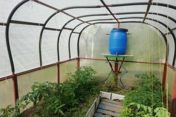Почему умная теплица начинается с фундамента и пустой бутылки теплица