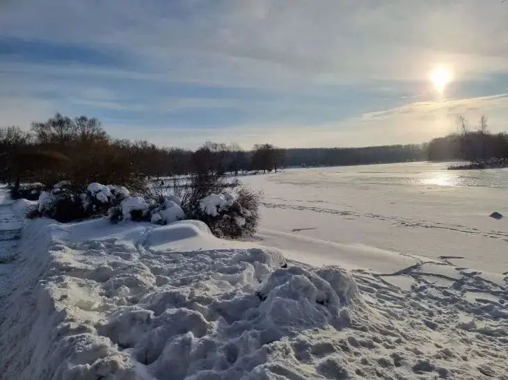4 февраля 2026 года: какой сегодня праздник природа