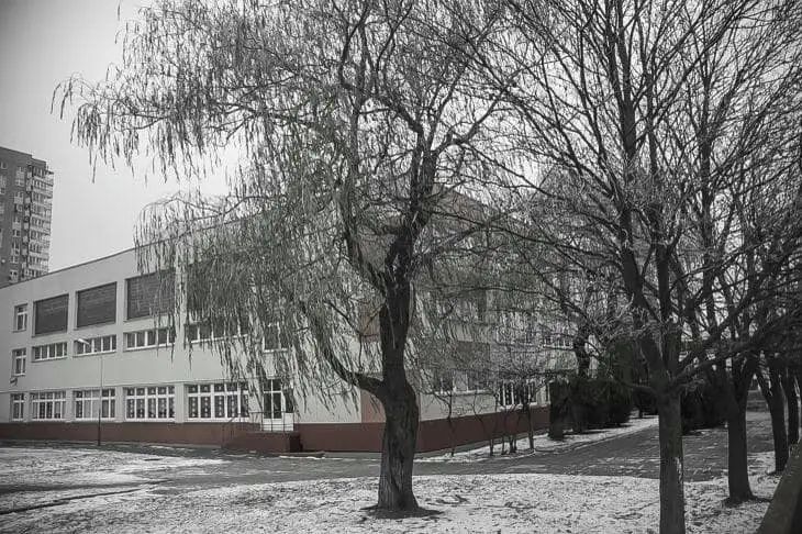 Обществознание исчезнет из 8 класса с 1 сентября 2026 года: теперь только для старшеклассников школа