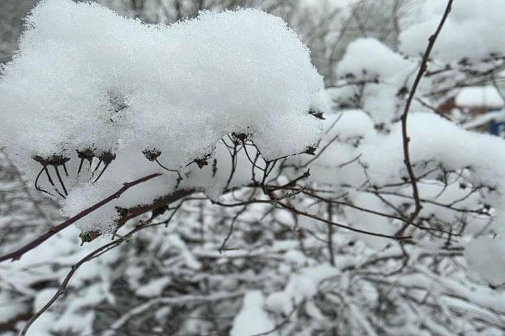 Синоптик рассказал, когда москвичам ждать весну без снега