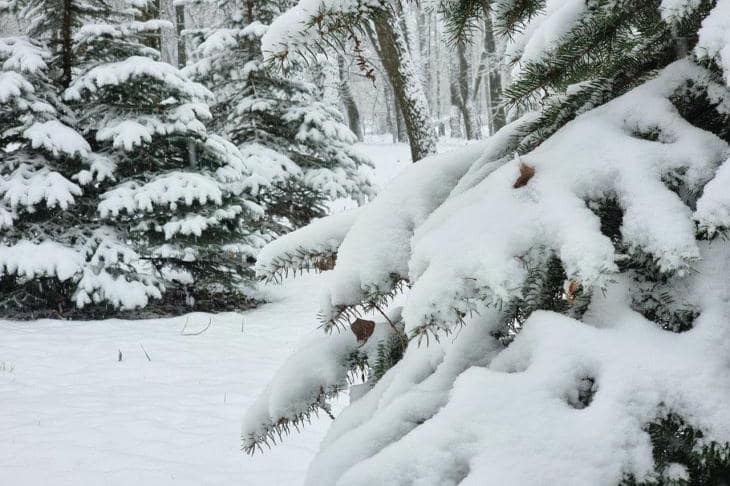 «Пик придется на ночь»: Москву засыпает снегом, сугробы вырастут до 70 сантиметров снег