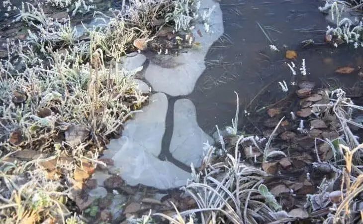 Какой сегодня праздник: 30 марта 2026 года природа