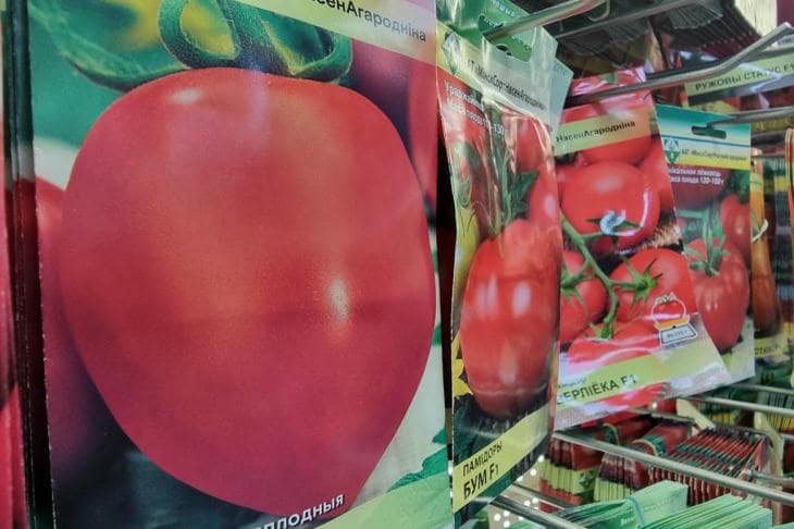 Как именно нужно собирать семена томатов, чтобы они сохраняли сортовые свойства томат