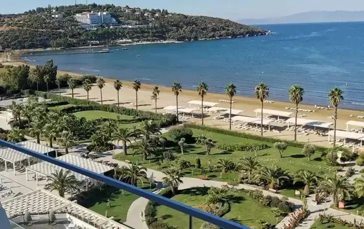 Щетка-ловушка: в Стамбуле туристов предупреждают о старом мошенничестве турция