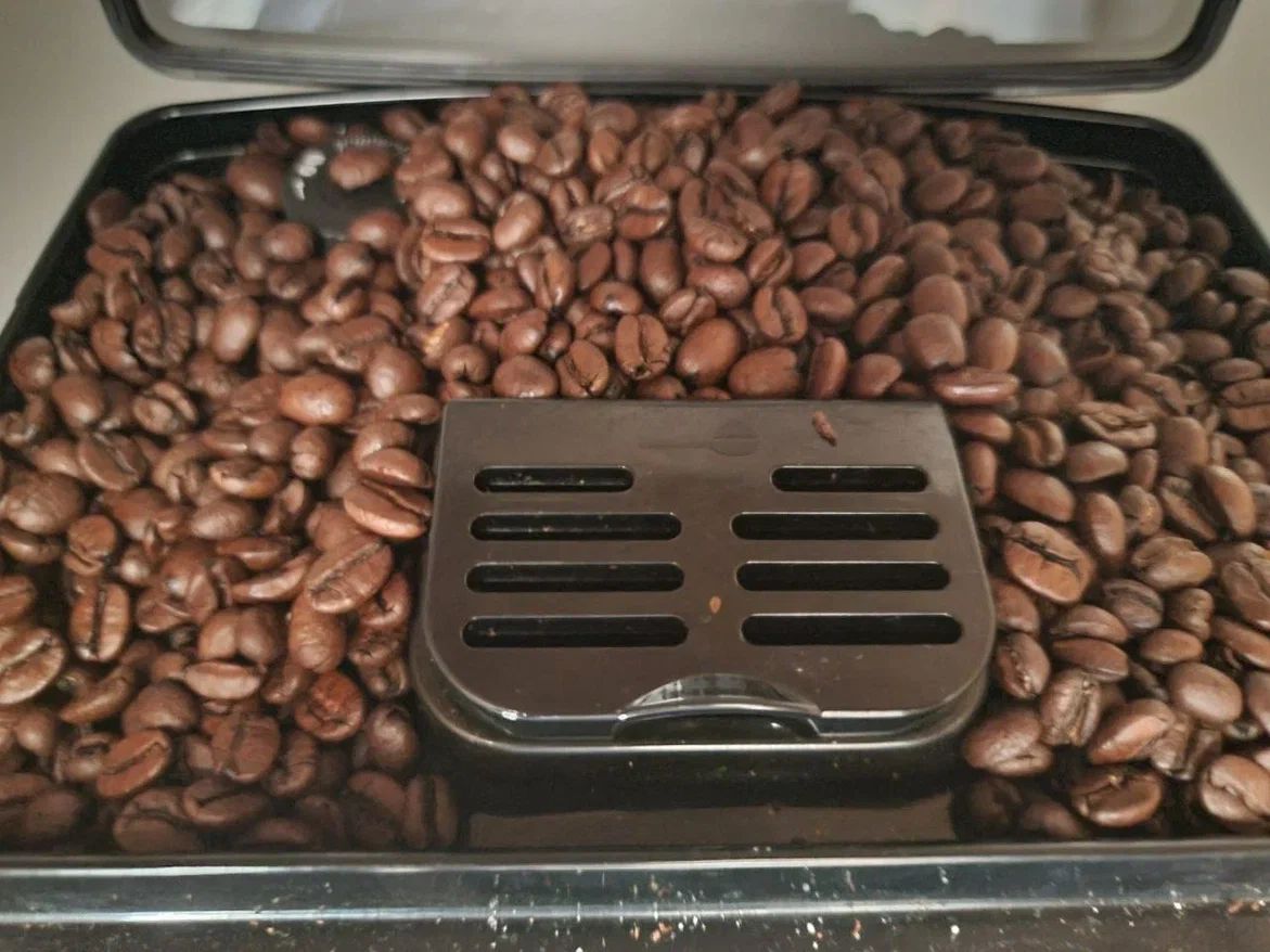 Кофе, ром, какао: доминиканский бизнес разворачивает экспорт в Россию кофе