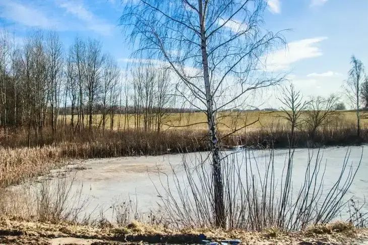 Какой сегодня праздник: 1 апреля 2026 года природа