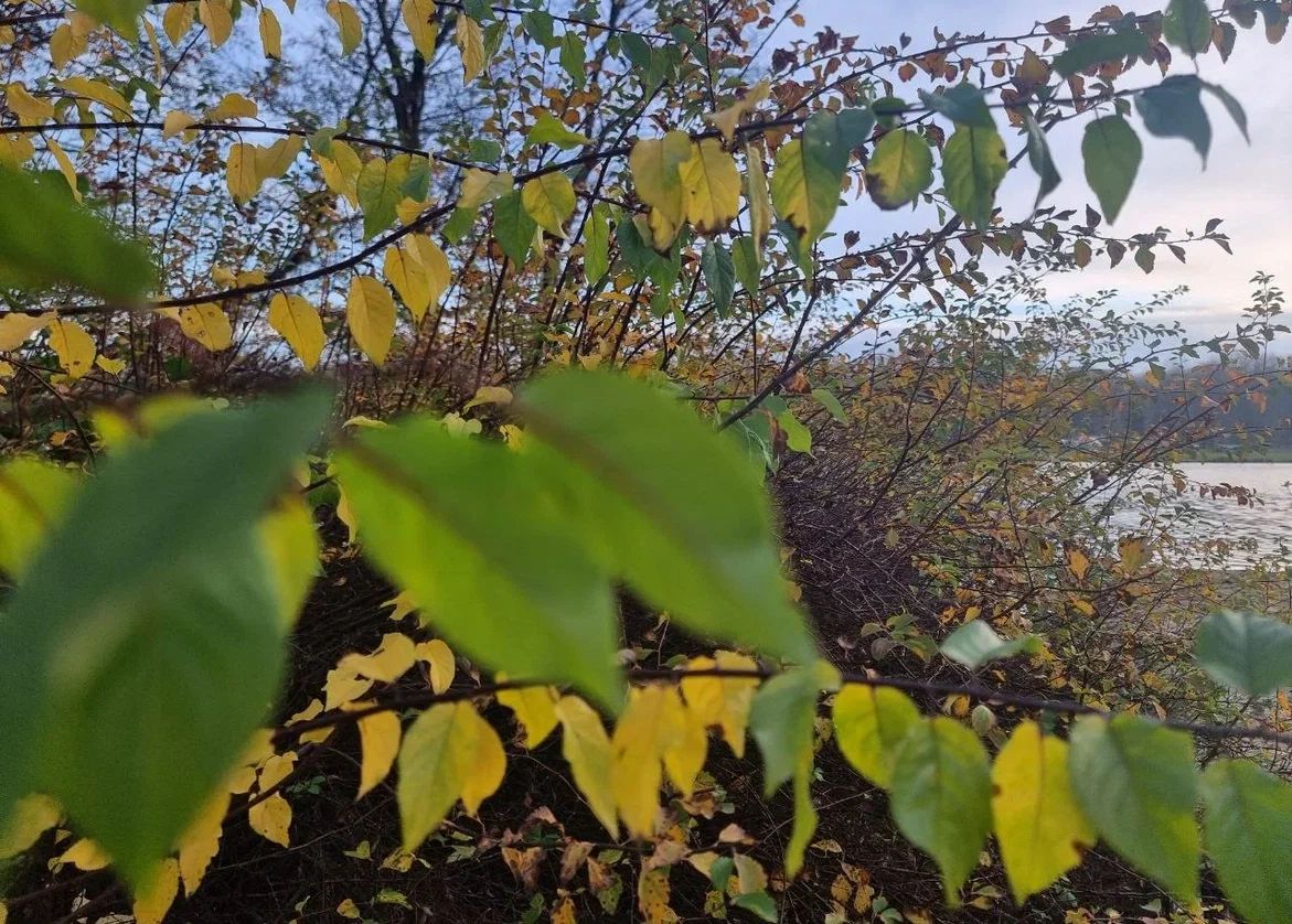 Какой сегодня праздник: 13 апреля 2026 года природа