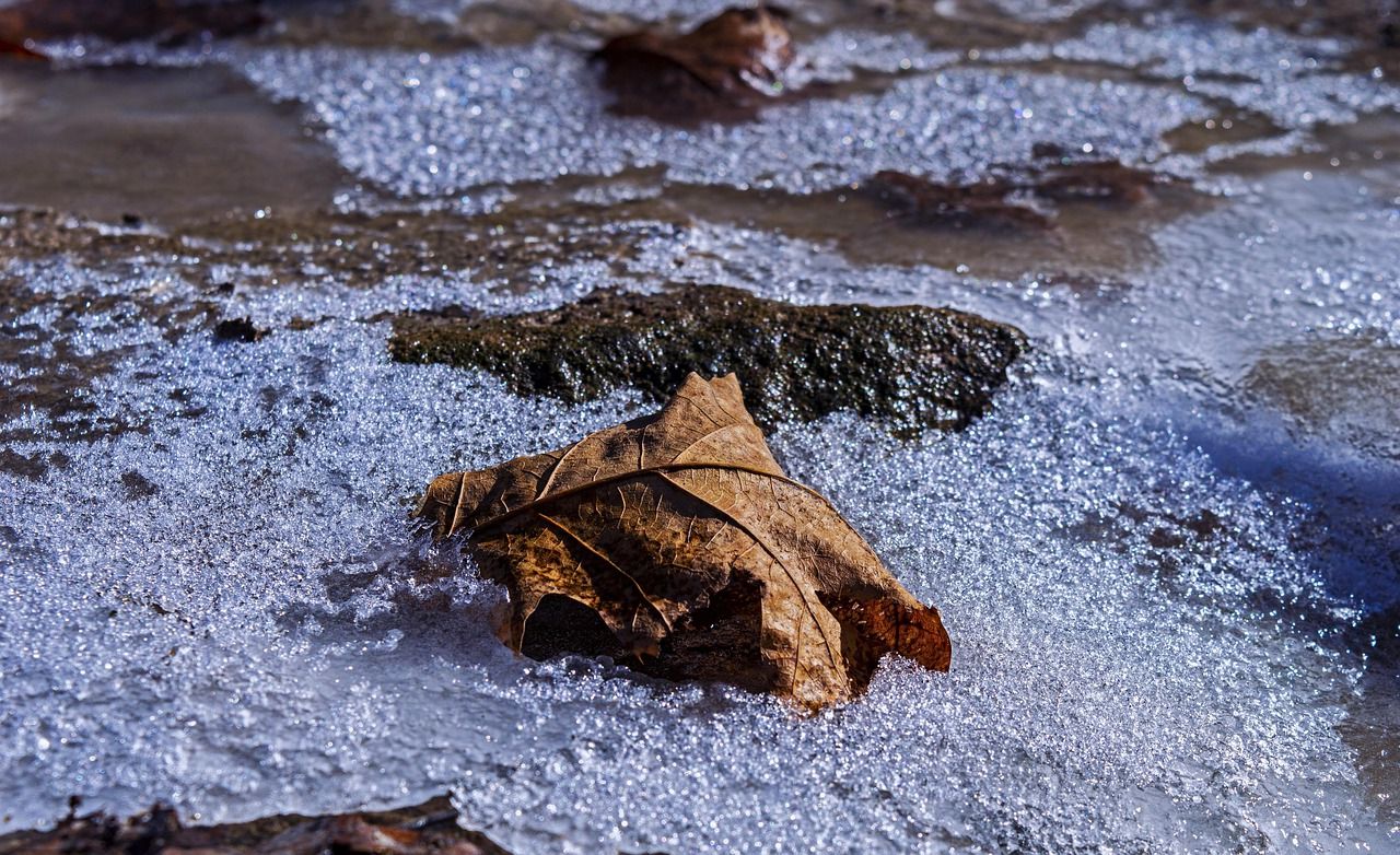 Какой сегодня праздник: 5 апреля 2026 года природа