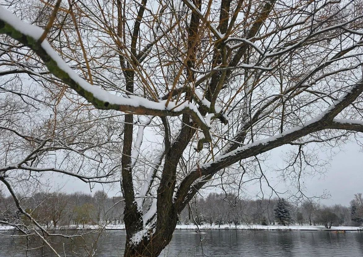 Какой сегодня праздник: 8 апреля 2026 года природа