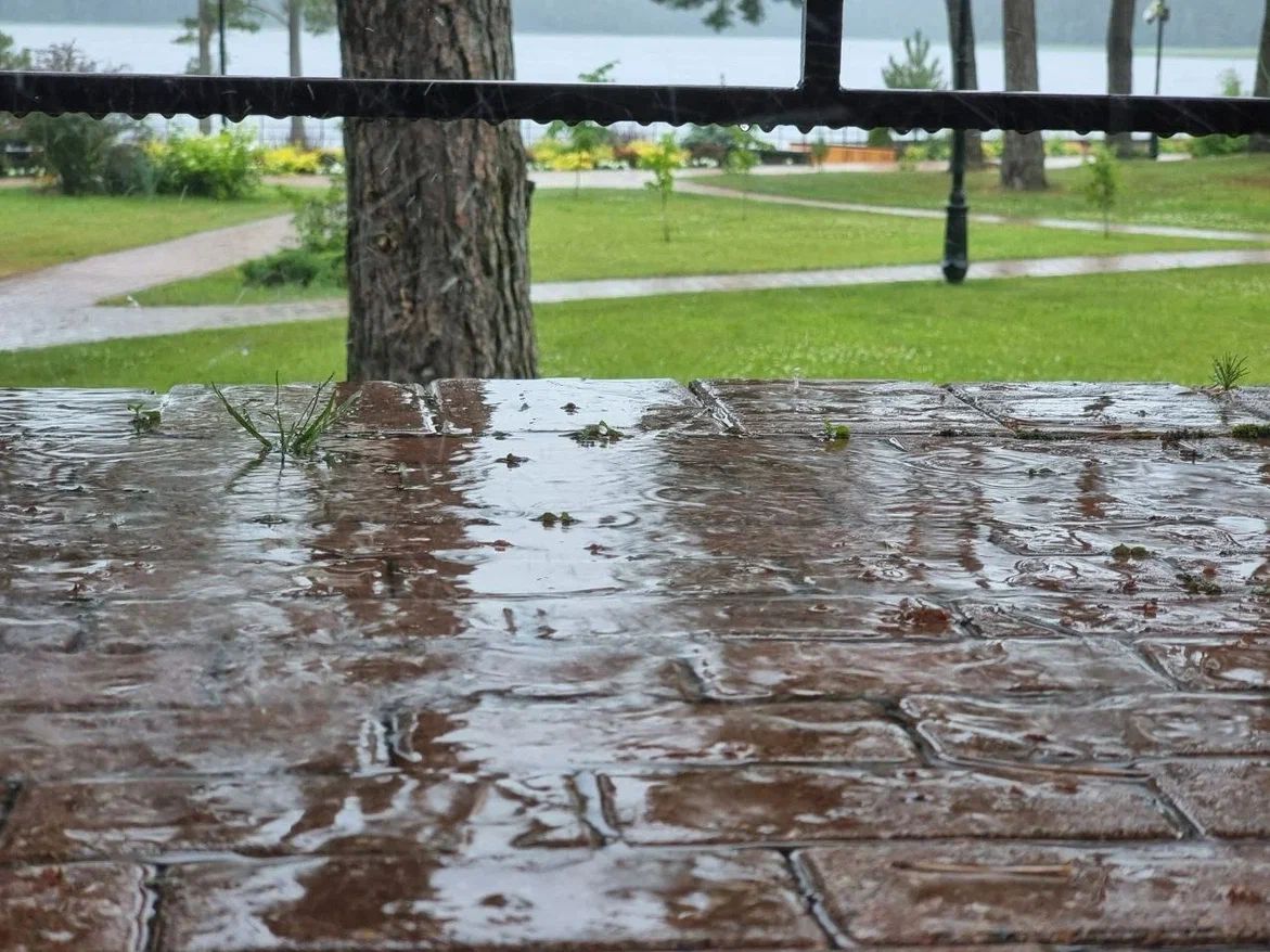 Какой сегодня праздник: 9 апреля 2026 года природа