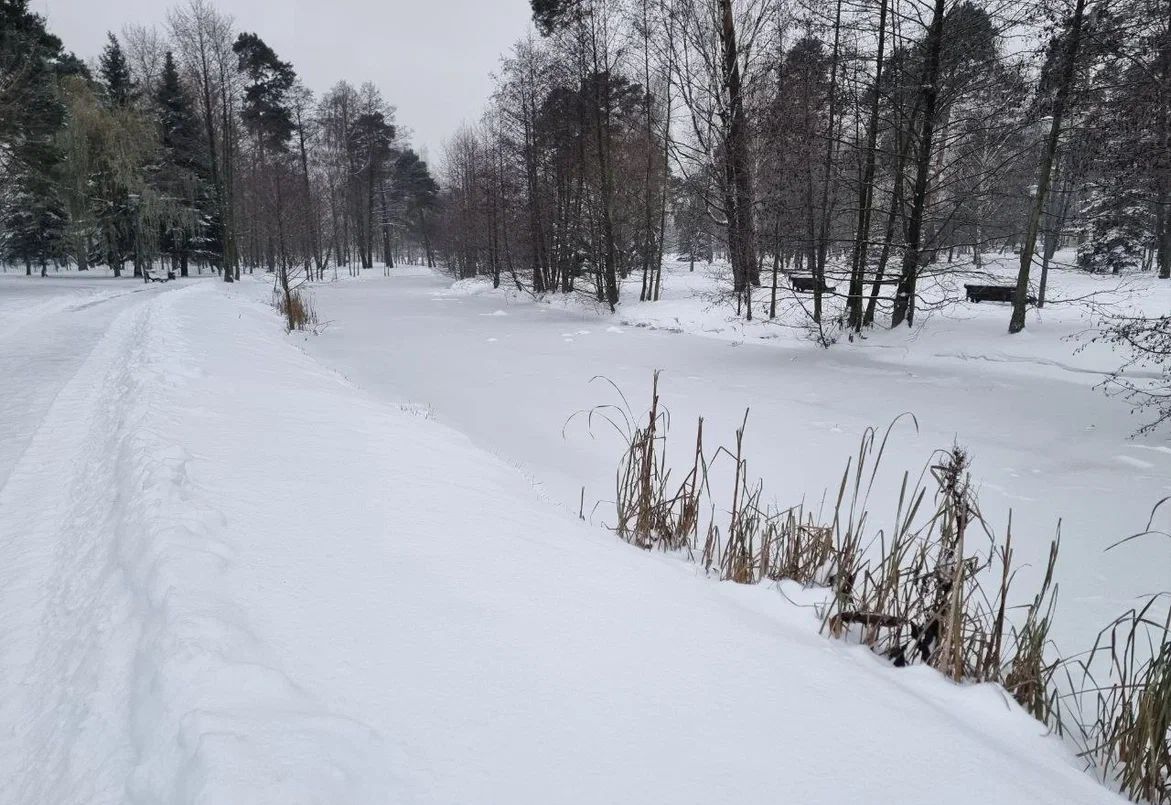 Двое погибли от переохлаждения: СК назвал причину трагедии на Камчатке лес