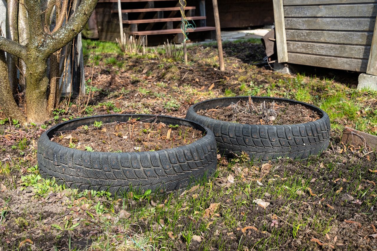 5 000 рублей за лебедя: Жаров предупредил об уголовной статье за шины во дворе шины