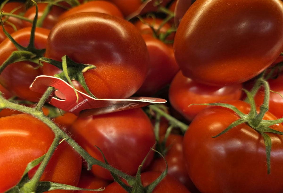 Почему красный цвет продуктов ускоряет насыщение: обман зрения или реальная физиология томат