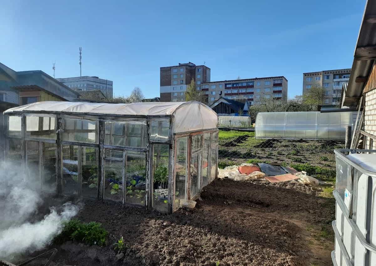 Зачем подвешивать бутылки с водой в теплице: простая хитрость от перегрева и засухи дачный участок