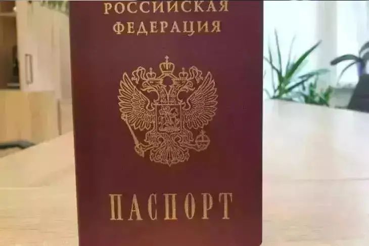 Певица Слава не выступит в Германии из-за аннулирования визы паспорт