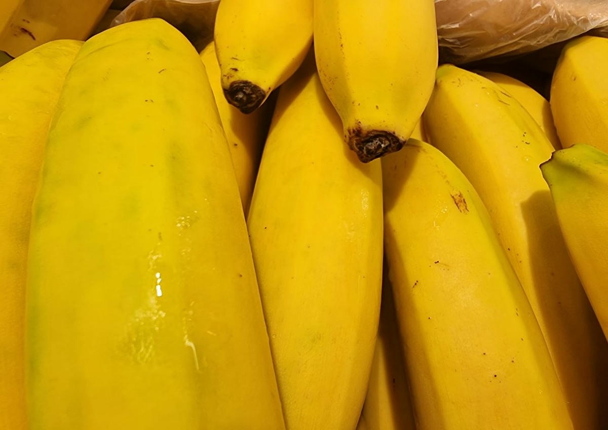 Почему банан с йогуртом — это ошибка: 4 убийственных сочетания продуктов, о которых молчат диетологи бананы