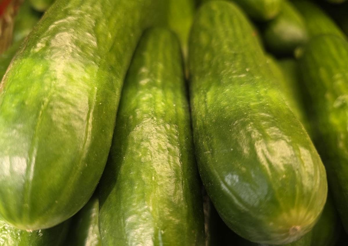 Почему огурцы с помидорами — это саботаж пищеварения? 5 мифов о сочетании продуктов, которые пора забыть огурцы