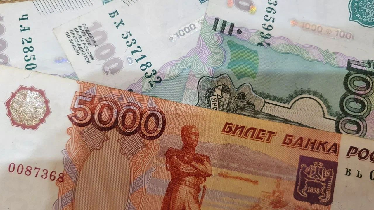 Россия не заплатит ОЭСР в 2026 году: 61,3 млн рублей перенаправят в Таджикистан российский рубль