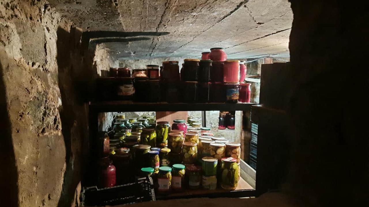 Вы губите урожай в погребе: 5 ошибок, которые съедают овощи за месяц погреб