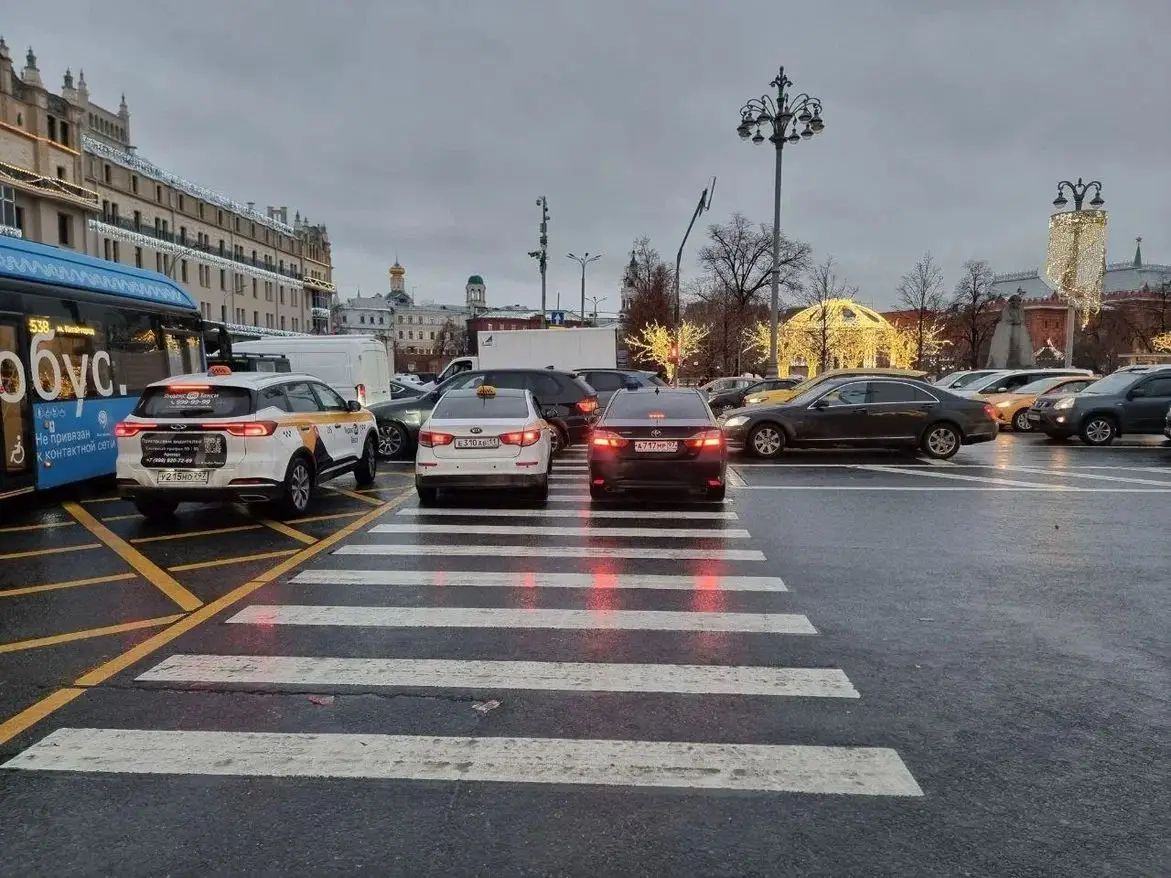 Багаж в салоне такси и собаки в намордниках: новые правила перевозок утвердил Минтранс городской транспорт