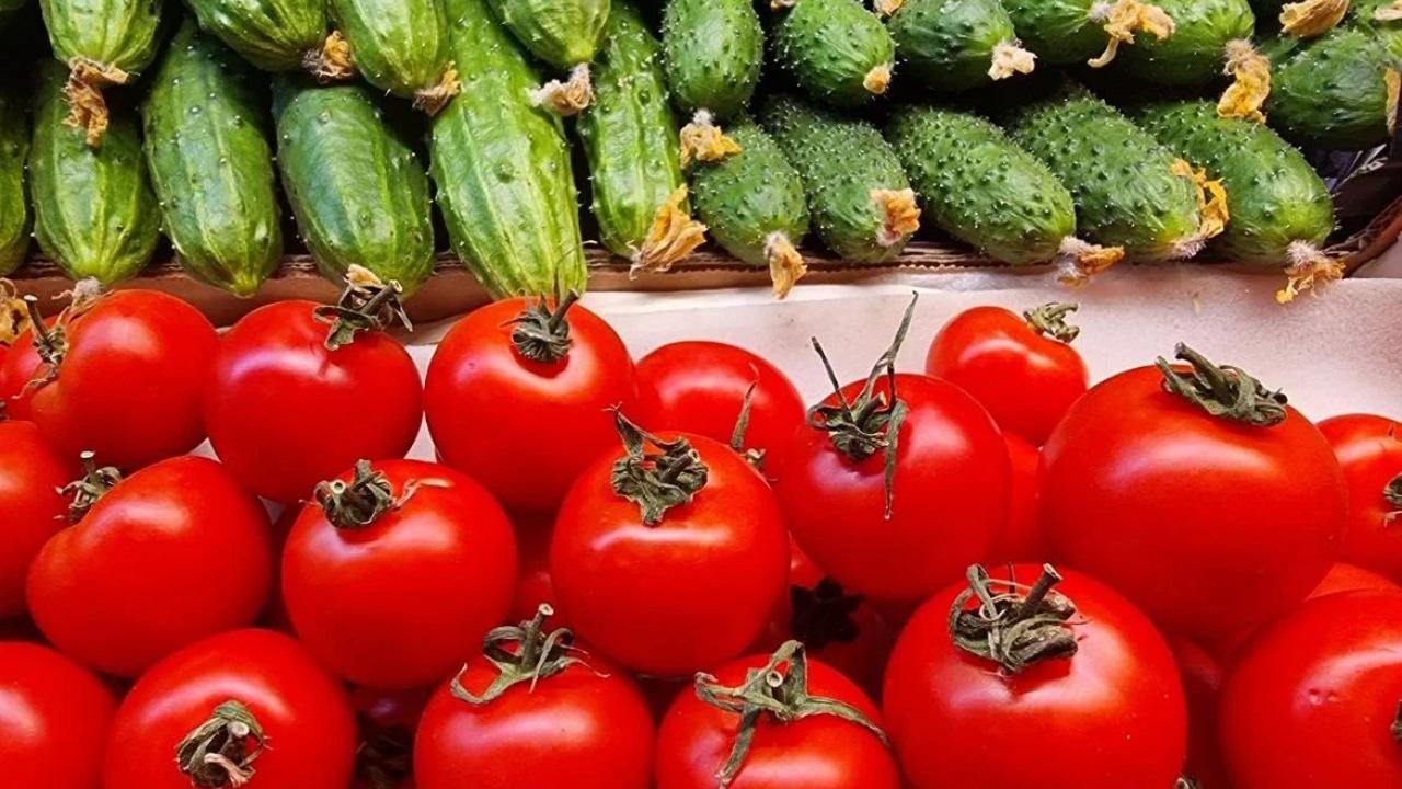 В России собрали более миллиона тонн тепличных овощей: прирост составил 3,5% красные помидоры