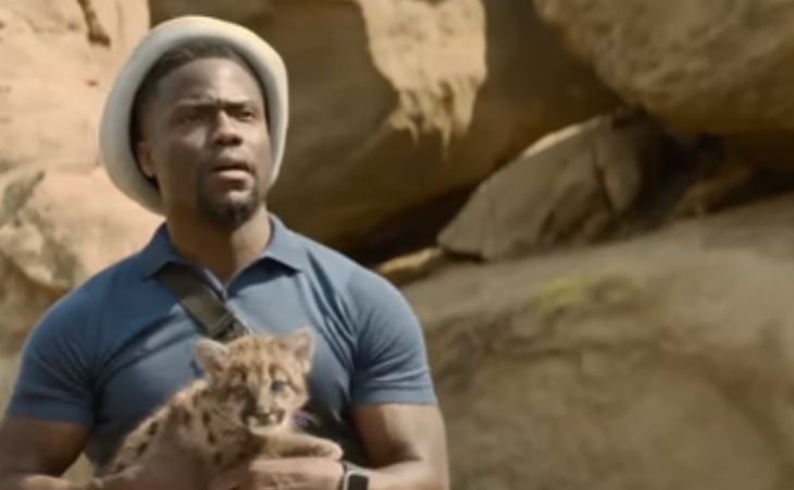 Кевин Харт с детенышем пумы