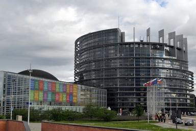 В Европарламенте не признали президентские выборы в Беларуси