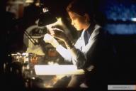 Фильм Гильермо дель Торо станет сериалом