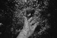 Глава Республики Крым наградил 7-летнюю Дашу Павлову из Тулы